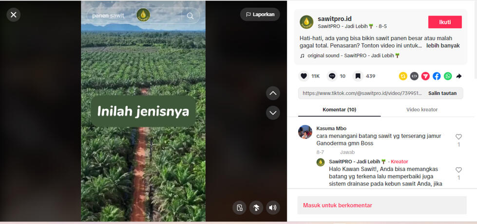 Conten video - Ganoderma sawitPRO